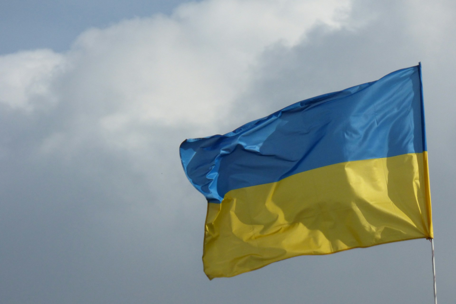 Workshop Online – Opportunità per le imprese italiane in Ucraina